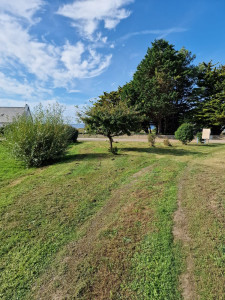 Photo de galerie - Tonte  et débroussaillage toute surface
