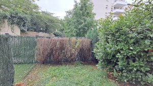 Photo de galerie - Abattage d’une haie 