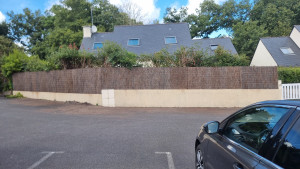 Photo de galerie - Brande de bruyère