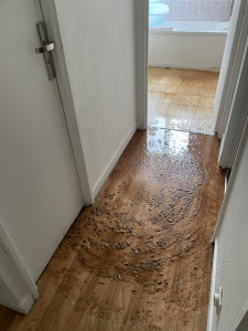 Photo de galerie - Nettoyage extrême insalubre 