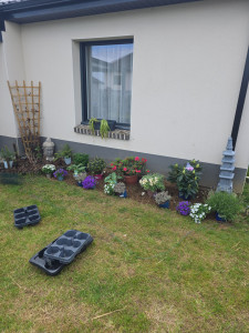 Photo de galerie - Plantation d’un parterre de fleurs