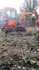 Photo de galerie - Paysagiste - Aménagement du jardin