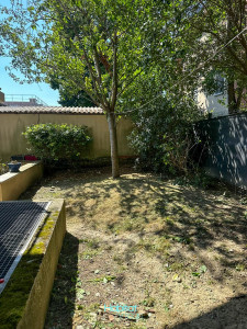 Photo de galerie - Taille de haies et d'arbustes