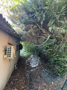 Photo de galerie - ENTRETIEN BORDURE DE MAISON