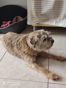 Photo de galerie - Août 2025