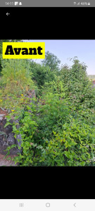 Photo de galerie - Paysagiste - Aménagement du jardin