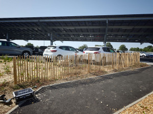 Photo de galerie - Pose de ganivelle sur un chantier biodiversité, dans un site agro alimentaire 