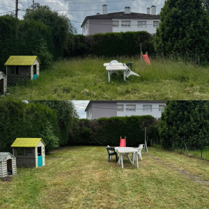 Photo de galerie - Tonte de pelouse - Débroussaillage