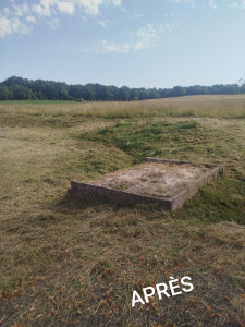 Photo de galerie - A* Après Herbe haute et dense à la débroussailleuse 