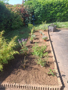 Photo de galerie - Paysagiste - Aménagement du jardin