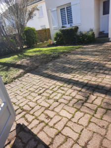 Photo de galerie - Elagage et coupe d'arbres