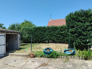 Photo de galerie - Taillage de haie avec evacuation