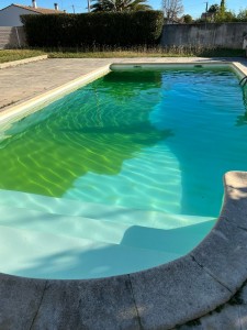 Photo de galerie - Nettoyage piscine en cours après traitement suites algues