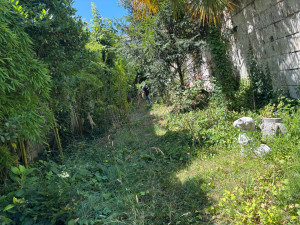 Photo de galerie - Nettoyage de jardin