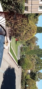 Photo de galerie - Paysagiste - Aménagement du jardin