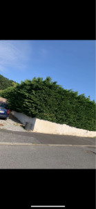 Photo de galerie - Taille de haies et d'arbustes