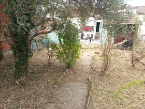 Photo de galerie - Debrouissaillage jardin, 120m2 ,envahi depuis 5ans.