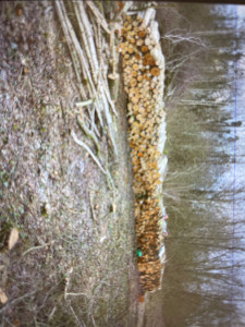 Photo de galerie - Abattage et débitage de bois 