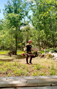 Photo de galerie - Débroussaillage