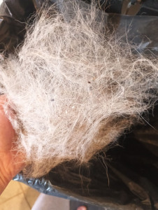 Photo de galerie - Ménage