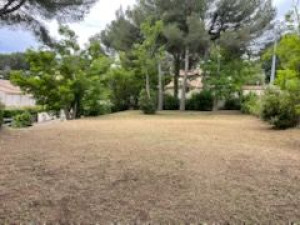 Photo de galerie - Débroussaillage fini
