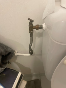 Photo de galerie - Réputation fuit 