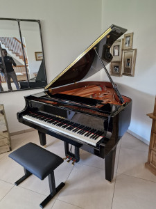Photo de galerie - Transporteur de pianos 