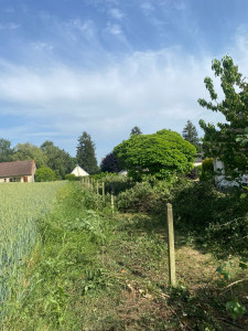 Photo de galerie - Arrachage De Haie 