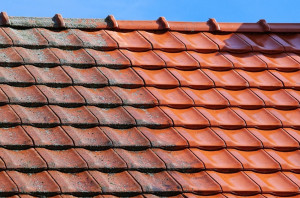 Photo de galerie - Nettoyage de toit