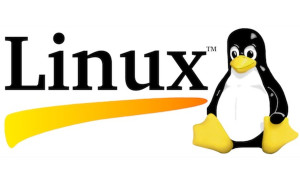 Photo de galerie - Linux toute génération