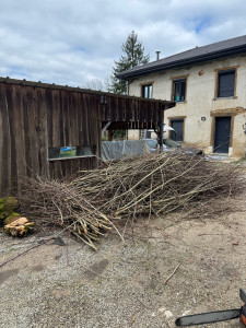 Photo de galerie - Avant broyage 