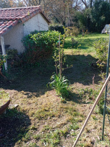 Photo de galerie - Tonte de pelouse - Débroussaillage