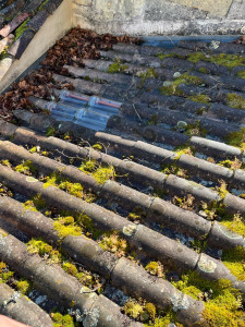 Photo de galerie - Couverture - Toiture