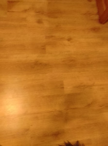 Photo de galerie - Chambre en parquet 

