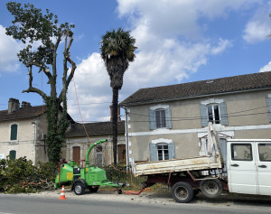 Photo de galerie - Broyeur de végétaux
