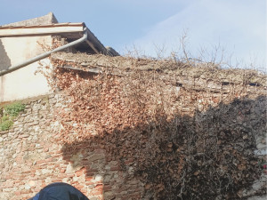 Photo de galerie - Couverture - Toiture