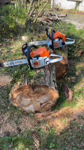 Photo de galerie - Elagage et coupe d'arbres