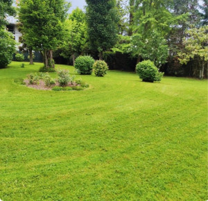 Photo de galerie - Entretien de la pelouse débroussaillage évacuation des déchets verts