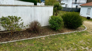 Photo de galerie - Désherbage à la main 