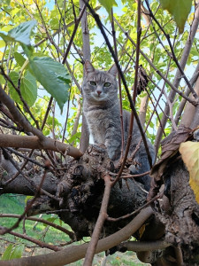 Photo de galerie - Petsitting