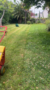 Photo de galerie - Tonte de pelouse - Débroussaillage