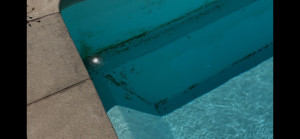 Photo de galerie - Entretien piscine