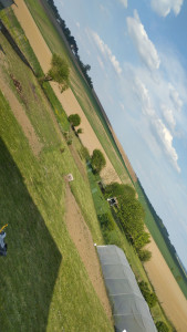 Photo de galerie - .