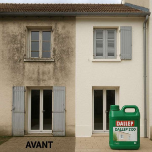 Photo de galerie - Nettoyage façade et toiture produit professionnel 