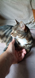 Photo de galerie - Minette en toute détente ! 