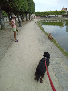 Photo de galerie - Garde chien