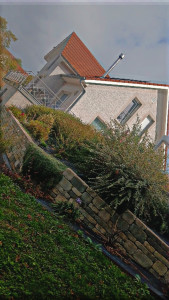 Photo de galerie - Taille d'arbustes 