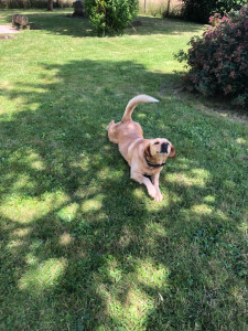 Photo de galerie - Ma toutoune