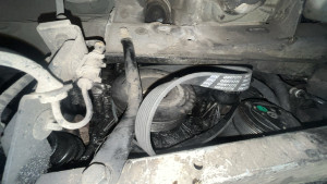 Photo de galerie - Courroie 