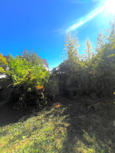 Photo de galerie - Abattage d’un vieux cerisier de 10 m ainsi qu’évacuation des déchets